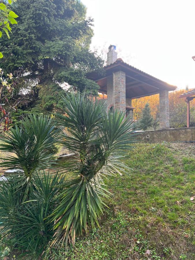 Ferienwohnung House In The Woods Kardítsa Exterior foto